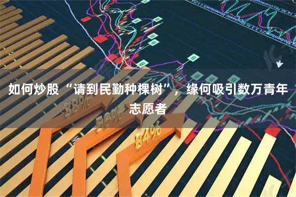 如何炒股 “请到民勤种棵树”，缘何吸引数万青年志愿者